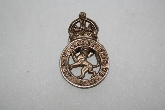 Army Cadet Forces Economy Plastic Badge