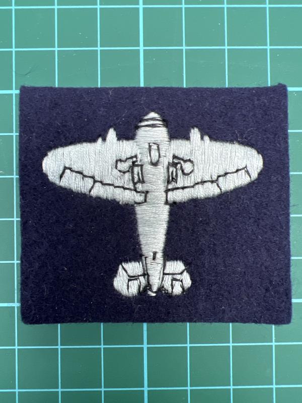 Royal Observer Corps Blue Spitfire