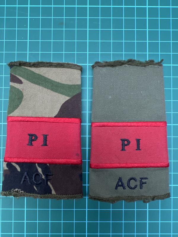 Potential Instructor ACF Rank Slides