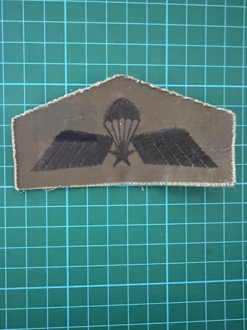 Netherlands Brevet A Parachute Wing Subdued