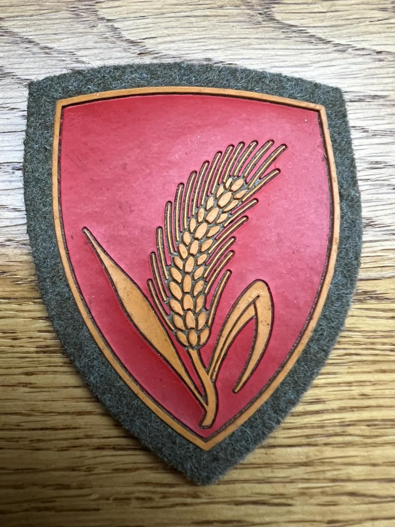 Italy Cremona Motorized Brigade