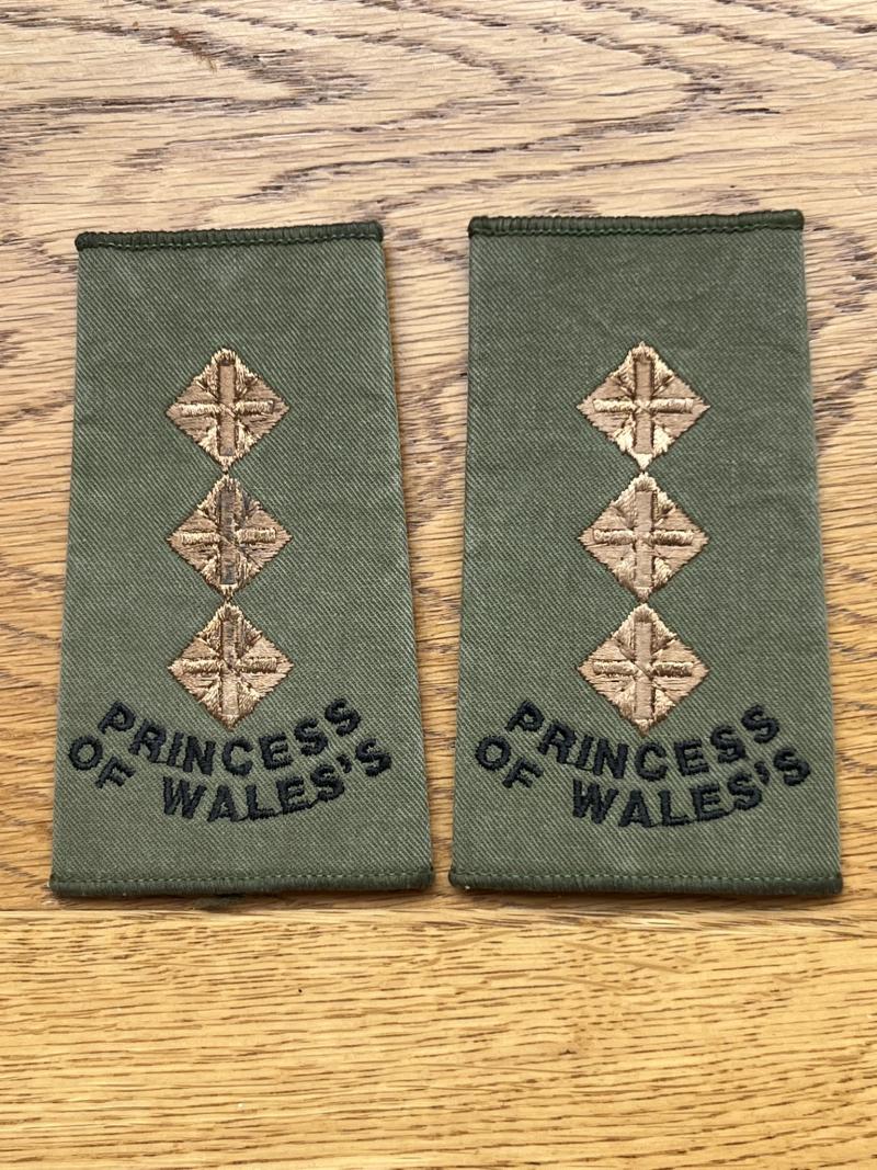 Princess of Wales Captain Rank Slides Pair