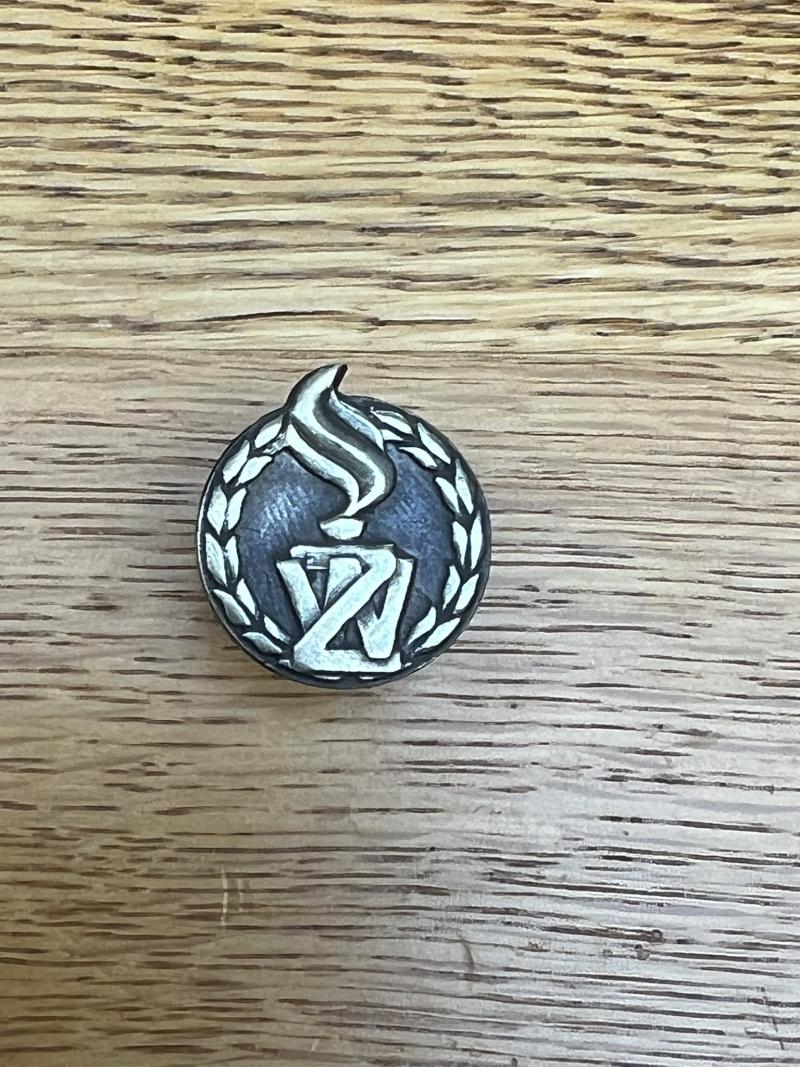 Poland Military Police Collar Badge ZW