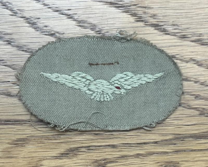 RAF Eagle  Tropical Issue Patch