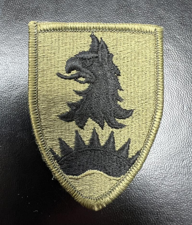 US 221st MP Bde