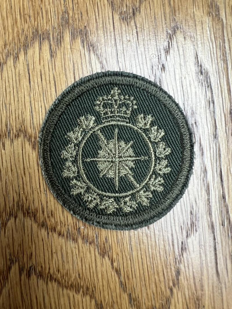 Canadian Intelligence Corp Combat Cap Badge