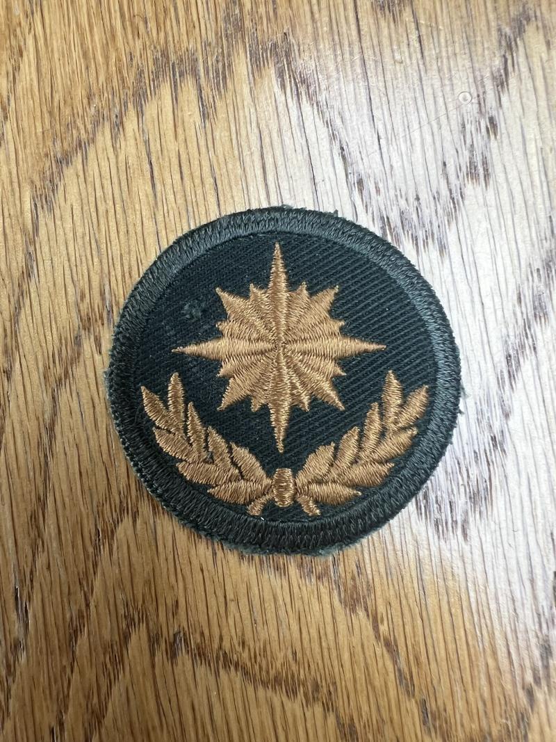 Canadian Intelligence Corps Trade Badge Group 2
