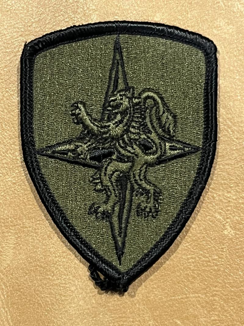 US Army Element Central Army Group CENTAG SSI