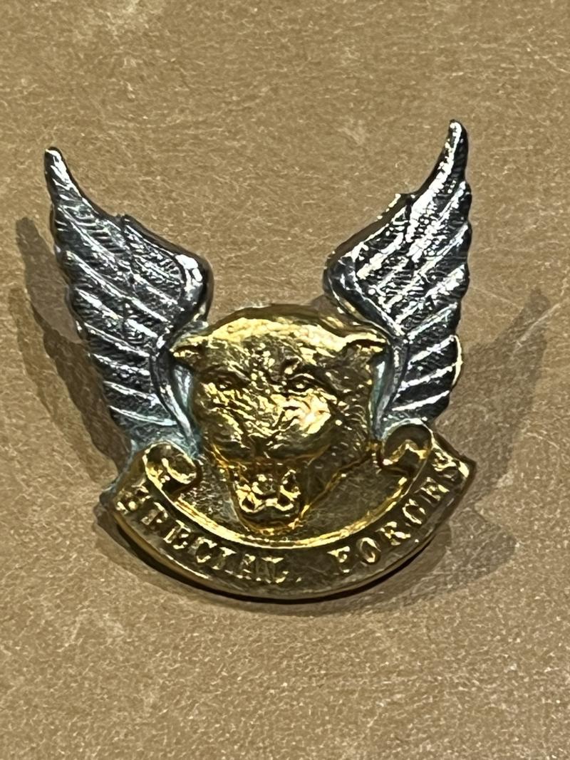 Transki Special Forces Cap Badge