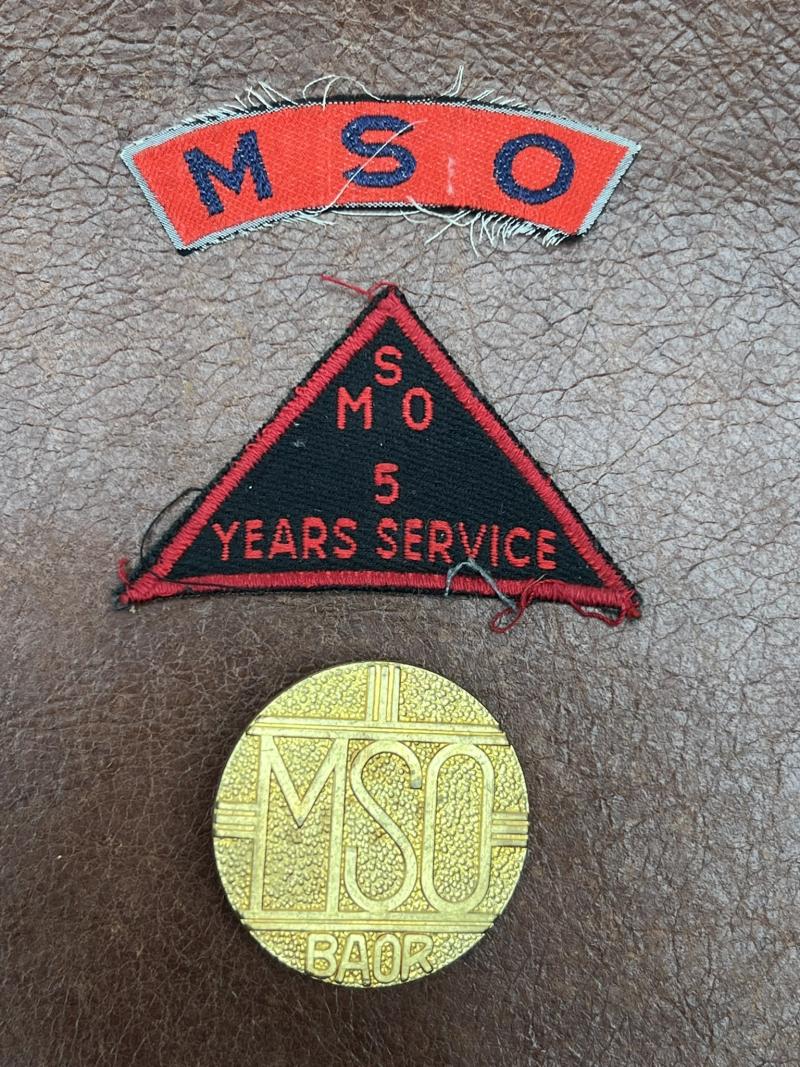 Mixed Service Organisation Group