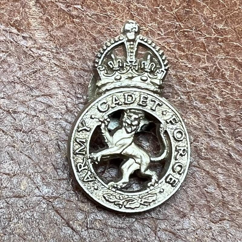 Army Cadet Forces Economy Plastic Badge