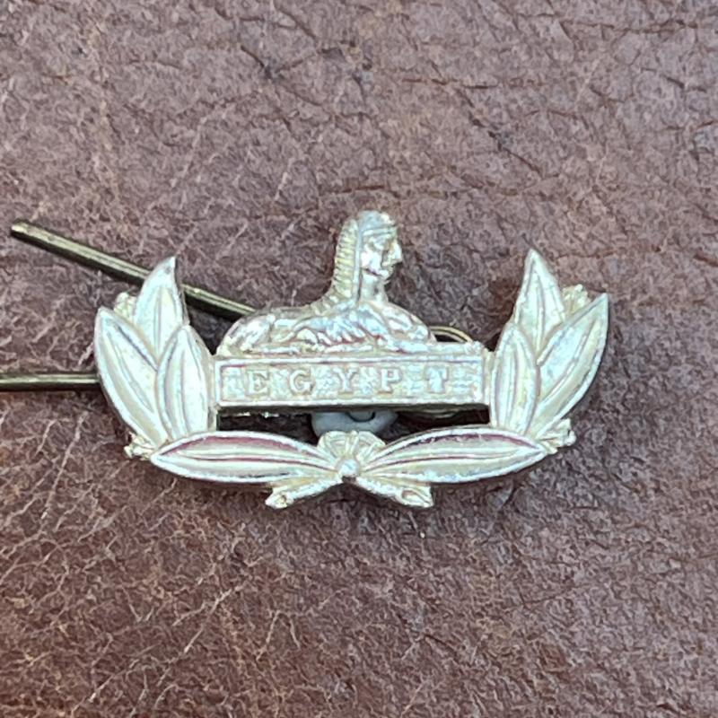 Gloucestershire Regiment RF Collar Badge Anodised